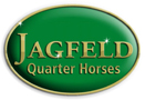 Jagfeld